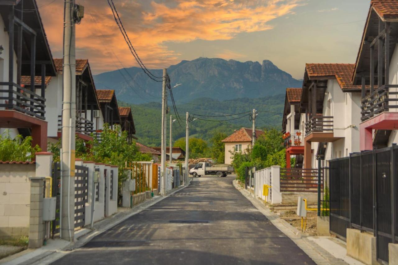Călimăneşti Casa Gabrielle 빌라 외부 사진
