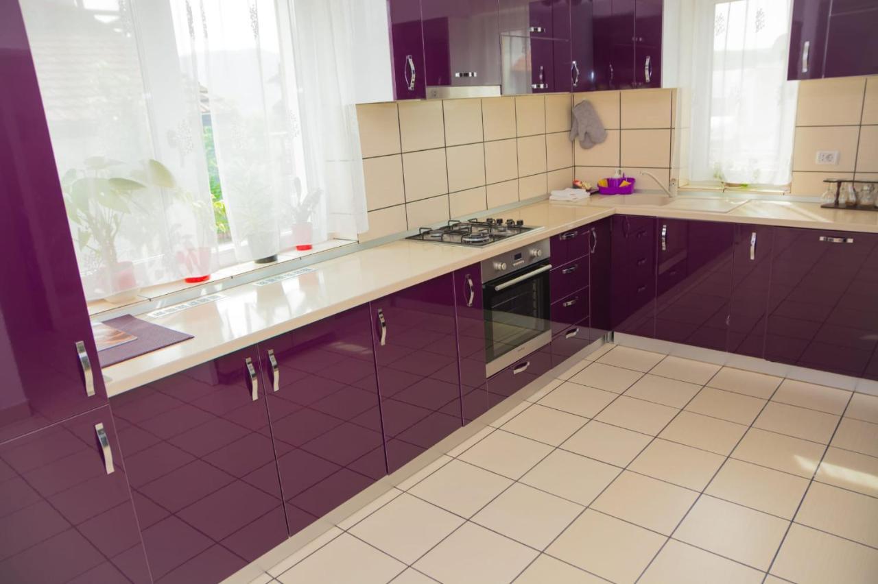 Călimăneşti Casa Gabrielle 빌라 외부 사진