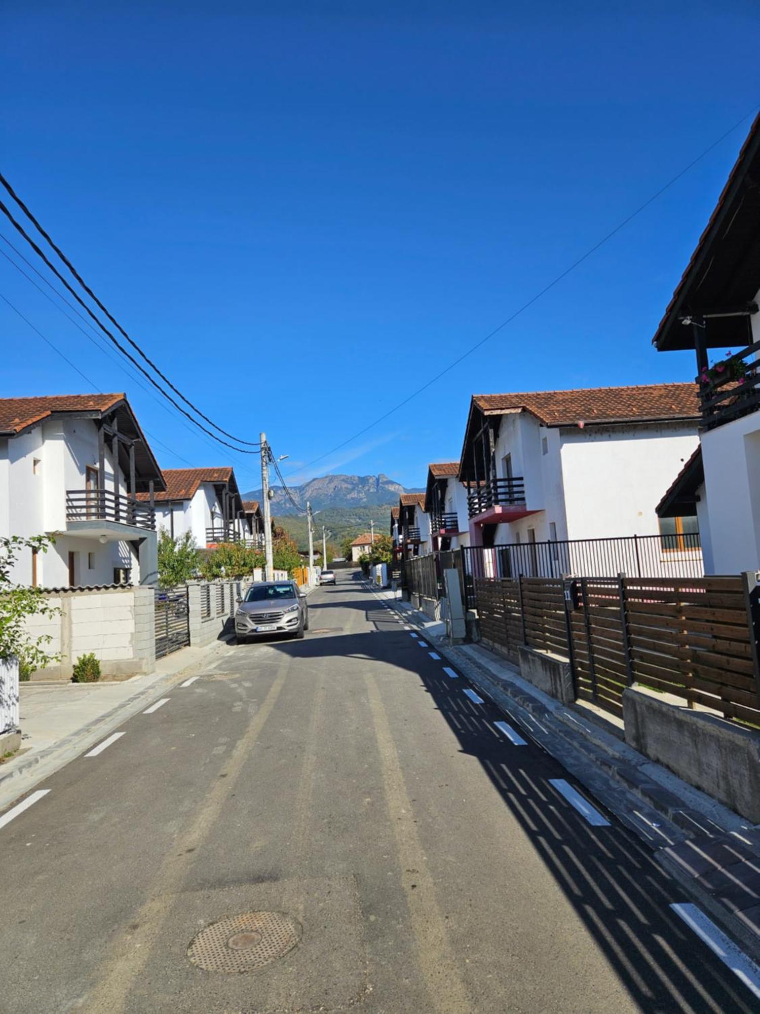 Călimăneşti Casa Gabrielle 빌라 외부 사진